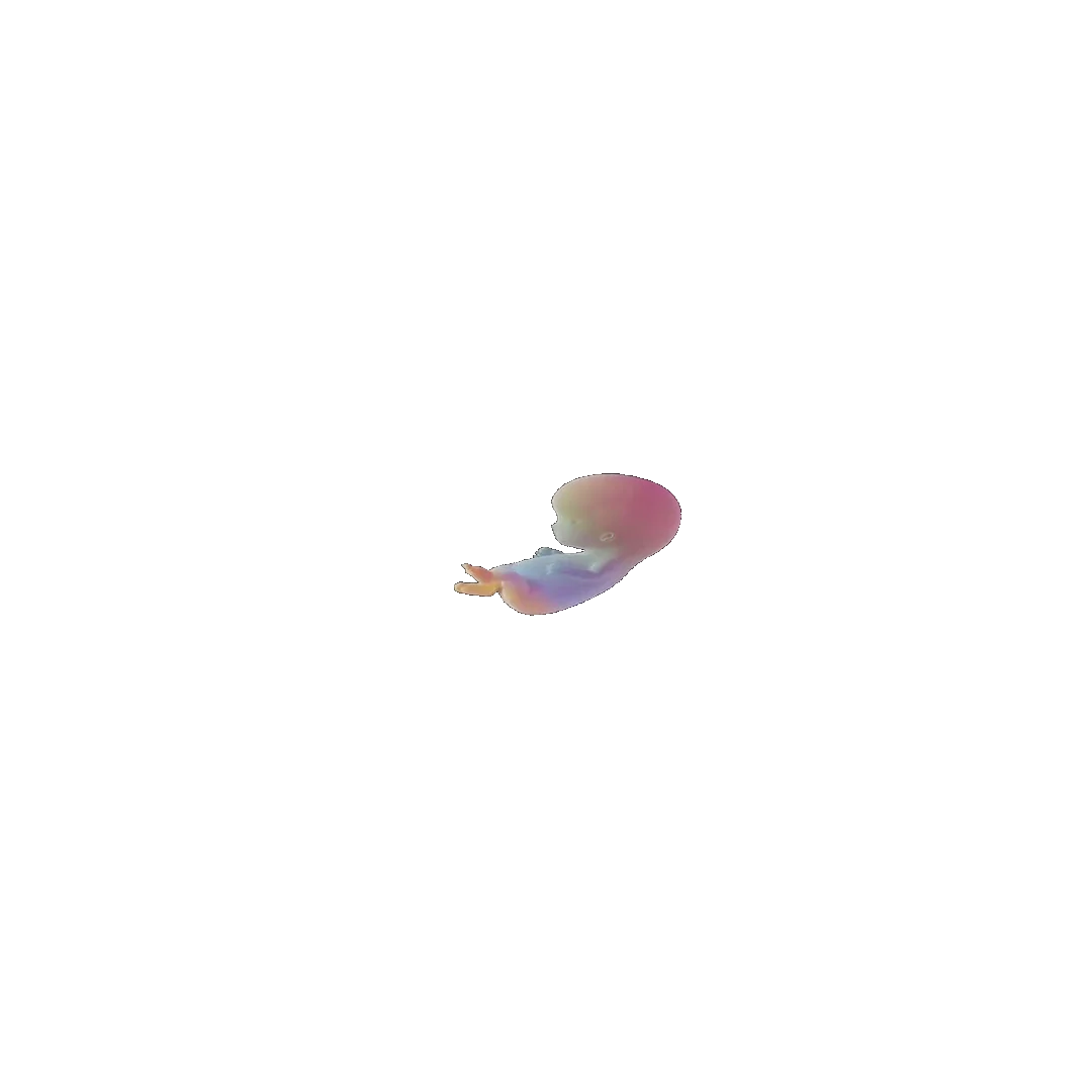 pregnancy tracker frame 30