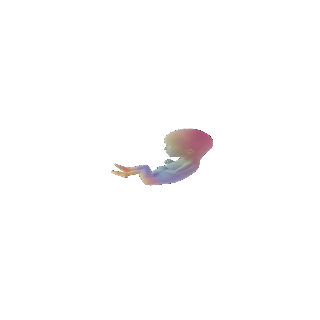 pregnancy tracker frame 55