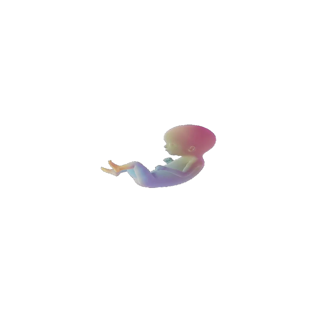 pregnancy tracker frame 61